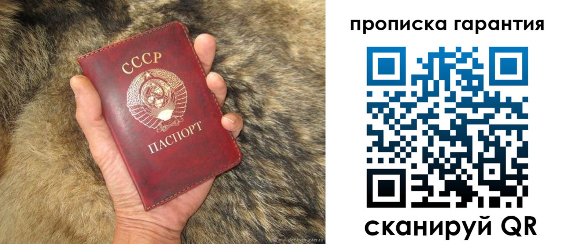 прописка паспорт в Новгородской области